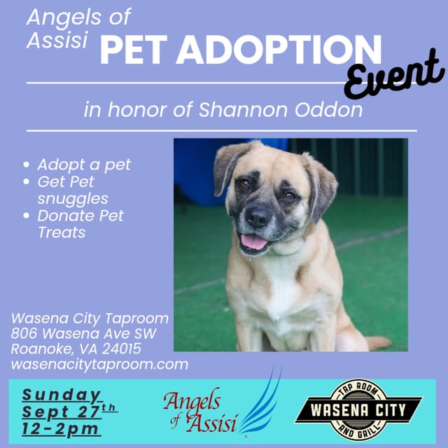 Shannon Oddon Memorial Pet Adoption Event w/ Angels of Assisi